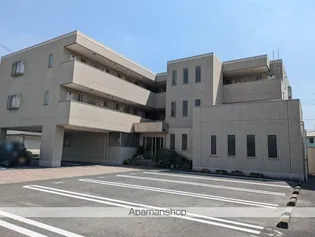 ソニートの画像