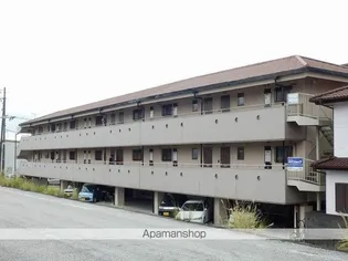 SINAーJYURIME LA'VIEプラスの画像