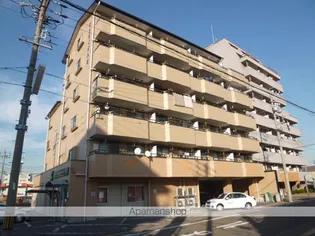 サンライズ入場の画像