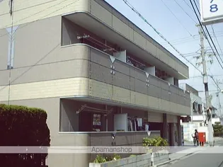 あすなろの画像