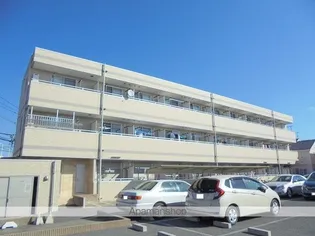 スプリングホームの画像