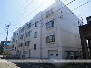 シェーン パレスの画像