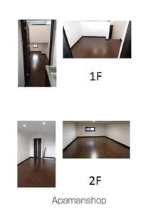 サラブレッドコスモスの画像