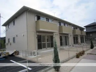 ホワイトクローバーの画像