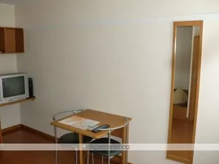 レオパレスア・ヴォルテ【110号室】の居間