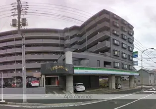 藤ロイヤルの画像