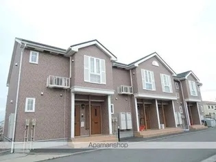 ミルトBの画像