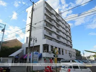 カミニートデホンチョウの画像