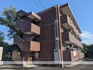 ミリアルデール【301号室】の外観