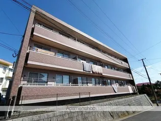 リリオミュウの画像
