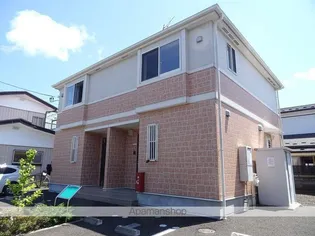 サンセベリアIIの画像