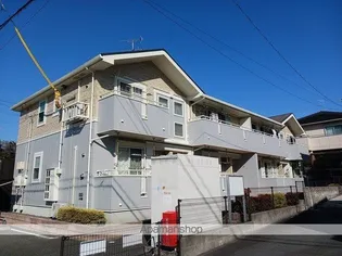 ライフ グローブの画像