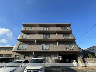 アムール正保の画像
