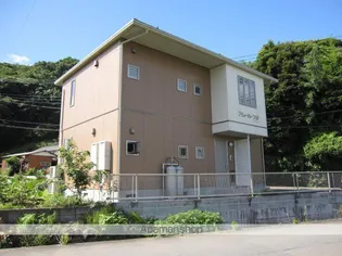 アムールフジの画像