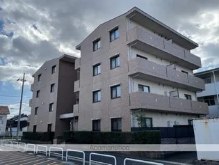 ボヌール恒の画像