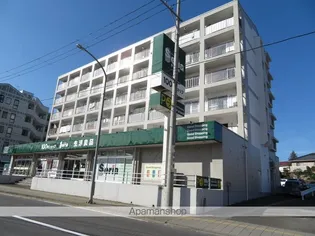 チェリーヒルズ【202号室】の周辺