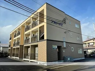 プラシードⅢの画像