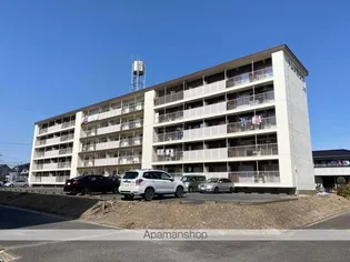 ドムス東長岡A【502号室】の外観