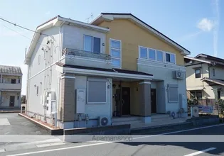 セスタの画像