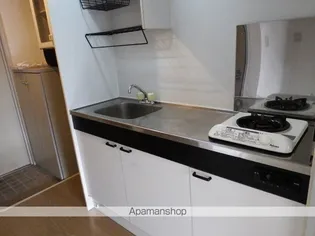 レジデンス新木【205号室号室】のキッチン