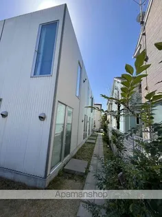 ニシオギソウの画像