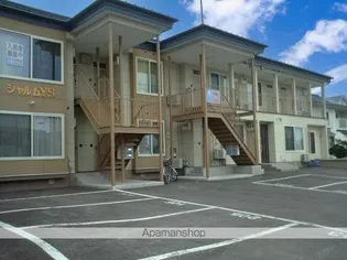 シャルムYSの画像