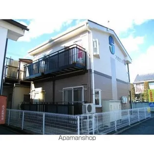 プリムローズの画像