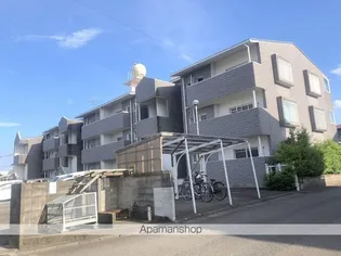 サングリッター清山の画像