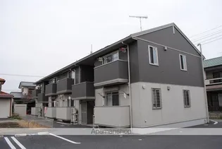 ソレイユ アイビーの画像