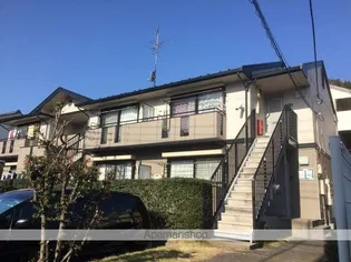 グリーングラスの画像