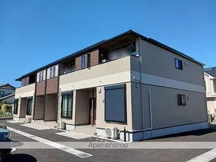 ベルカームの画像