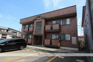 ウィルモアKの画像