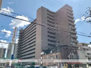 グレーシィ石山の画像