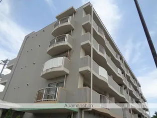 JOYぶりっじ上神拝の画像