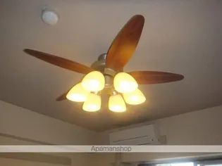 アネックス紅葉【11階】の内装