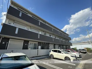 PREMIER VIOLETの画像