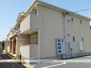 アクシアの画像