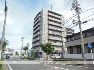 ドリームハイツエリカ【3階】の外観