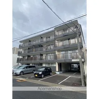 リバーサイド市場木の画像