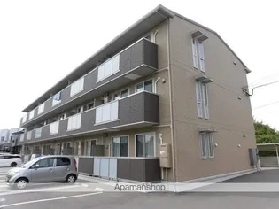 アプリコットの画像