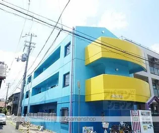 セトラIの画像