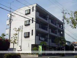 ニューエミネンスの画像