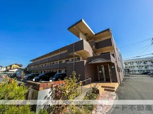 ブライムトライアングルの画像