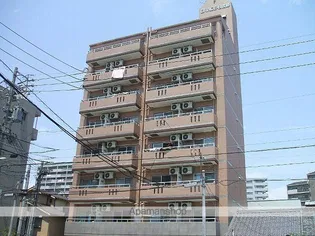 グレイス日比野の画像