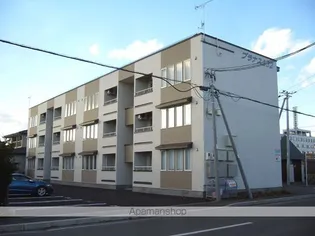 プラナスの画像