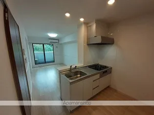 ハンドレッド リヴァー 水野B【2階】のキッチン