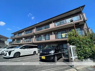 ティーワン鷹殿の画像