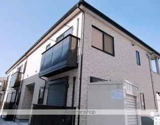 アムールアムールの画像