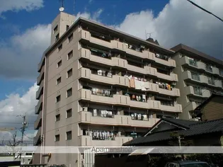 エステート若葉【4階】の外観