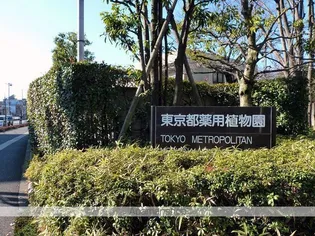 サンガーデン光【2階】の周辺